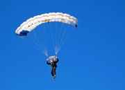 开云体育APP下载-克瓦拉茨赫利亚冠军级表现闪耀，佛罗伦萨完胜哥伦比亚的战术启示