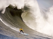 开云体育官方网站-辽篮力克津门，哈登破纪录之夜的双重奏
