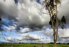 开云平台-法网绝杀联合杯，兹维列夫刷新纪录